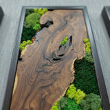 Wood and Moss Wall Art, Single Panel Natural Greenery Decor for Small Spaces, Rustic Framed Forest Wall Hanging, Maintenance-Free Biophilic Art
