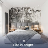 LUXRITE 4 Inch Square Canless Spotlight, LED Recessed Light, 5CCT 2700K-5000K, Dual Dimmable, 650/800/1066 Lumens, CRI 90, 8W/10W/13W Selectable, 120-277V, IC Rated, Wet Rated, ETL Listed (12 Pack)