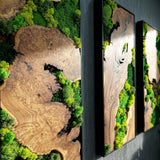 Wood and Moss Wall Art, Single Panel Natural Greenery Decor for Small Spaces, Rustic Framed Forest Wall Hanging, Maintenance-Free Biophilic Art