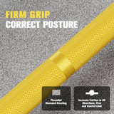 RitFit Elite 7ft Olympic Barbell, Robust 45lb Barbell for Weightlifting and Powerlifting, Superior Olympic Bar with Exceptional 500lbs Load Capacity, Weight Bar for 2” Standard Plates Sliver/Yellow