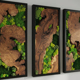 Set of 3 Wood and Moss Wall Art, Large Natural Greenery Statement Decor, Rustic Framed Forest Panels for Bedroom, Biophilic Gallery Wall Display