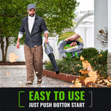 NovorikX Electric Leaf Blower, 810 CFM Variable-Speed, 60-Volt Lithium-ion Cordless Leaf Blower with 5.0Ah Battery and Charger Included, Powerful for Yard Cleaning