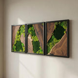Moss Wall Decor Preserved Moss Art in Solid Cedar Wood Frame | Natural Wooden Wall Decor for Living Room, Office, Home | Zero Maintenance Gift for Nature Lovers 3 Pieces