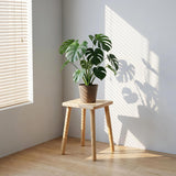 Pinyunxuan Solid Wood Square Stool, Natural Color