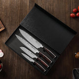 Kazutoku 4 Piece Kitchen Knife Set, High Carbon Stainless Steel Professional Chef Knife Set with Ultra Sharp Blade, Sharp Knives Set with Ergonomic Pakkawood Handle