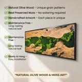 MIODUO DECOR Handmade Moss Wall Art with Natural Wood Frame, Preserved Reindeer Moss Vertical Garden, Maintenance-Free Biophilic Greenery Wall Panel - 20"x48"