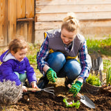 13-Piece Garden Tools Set with Tote Bag & Apron, Repotting Mat - Stainless Steel Heavy Duty Planting Kit