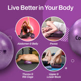 Tune Up Fitness – Coregeous Ball | Psoas Release Tool, Abdominal, Belly & Lower Back Release | Core Ball, Exercise Ball for Low Back, Stress & Digestive Relief, Improved Breathing & Sleep (Iris) Tune Up Fitness