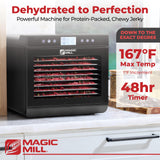 Magic Mill Premium Food Dehydrator Machine (10 Extra-Large Stainless Steel Trays) 700W Dryer for Beef Jerky, Fruits, Vegetables, Dog Treats, 48 Hour Digital Timer - 95°-167° Temperature Control