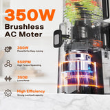 Cold Press Juicer, 5.5inch Wide Feed Chute Juicer Machine, Slow Masticating Juicer for Whole Vegetables & Fruits, Gray