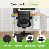 Lumbar Support, Synchro‑Tilt Desk Chair with Wheels for Home Office or Computer Use, Black Frame