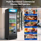 BODEGACOOLER Commercial Beverage Refrigerator, 240 Cans & 160 Bottles, Display Refrigerator For Beer,Soda, Merchandiser Refrigerator