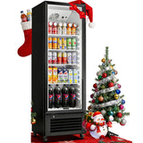 BODEGACOOLER 11.5 Cu.Ft. Commercial Merchandiser Refrigerators, Adjustable shelves & Automatic Defrost, Commercial Beverage Refrigerator Glass Door