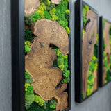 Set of 3 Wood and Moss Wall Art, Large Natural Greenery Statement Decor, Rustic Framed Forest Panels for Bedroom, Biophilic Gallery Wall Display