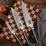 MDHAND Damascus Kitchen Knife Set, 3PCS Ultra Sharp 10Cr15CoMoV Super Steel Japanese Knife, Professional Chef Knife Set with Black Pakkawood Handle, Including Chef, Santoku & Paring Knife, Elegant Box
