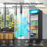 BODEGACOOLER Commercial Beverage Refrigerator and Cooler, 12.5 Cu.Ft. Commercial Merchandiser Refrigerator with Soft LED Light