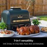 Ninja Woodfire ProConnect Premium XL Outdoor Grill & Smoker, Blue & Gold