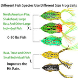 5PCS Topwater Frog Lures Set with Box, Realistic Soft Hollow Body Fishing Lures for Bass Snakehead Pike Bowfin, Weedless Freshwater Simulated Frog Baits