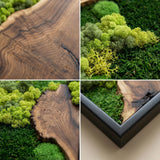 Moss Wall Decor Preserved Moss Art in Solid Cedar Wood Frame | Natural Wooden Wall Decor for Living Room, Office, Home | Zero Maintenance Gift for Nature Lovers 2 Pieces