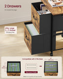 VASAGLE 2-Drawer File Cabinet, Mobile Printer Stand with Storage