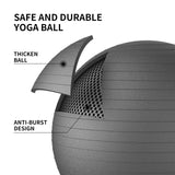 FITMIND Yoga Ball set-75cm&25cm(Black)