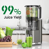 Cold Press Juicer, 6.5" Extra Wide Feed Chute Juicer Machines, 350W Slow Juicer Machines with High Juice Yield for Whole Vegetables & Fruits, BPA Free (Titanium Gray)