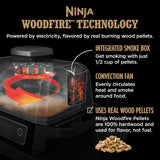 Outdoor Grill and Smoker, Thermometer, BBQ Smoker, Air Fryer, Bake, Roast | Electric Grill, Grey, OG751BRN Ninja
