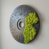 Round Moss Wall Art Set of 3 Preserved Moss Decor on Solid Wood Base Natural Wooden Wall Decor for Living Room Office Home Zero Maintenance Botanical Art