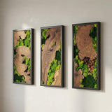 Set of 3 Wood and Moss Wall Art, Large Natural Greenery Statement Decor, Rustic Framed Forest Panels for Bedroom, Biophilic Gallery Wall Display