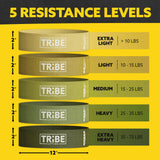 Tribe Lifting Fabric Resistance Bands for Glutes & Legs | 5 Fabric Workout Bands Set | Thick Booty Bands for Squats, Lunges, Hip Training, Physical Therapy