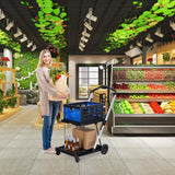 Foldable Shopping Cart with 1 Storage Crates – 2-Tier Collapsible Utility Cart, Aluminum Trolley with 360° Rolling Swivel Wheels
