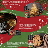 Christmas Essential Oils for Diffuser - Holiday Essential Oils Gift Set, 6 x 10ml Christmas Scents Including Gingerbread, Candy Cane, Apple Cider and More - Winter Diffuser Oils for Home