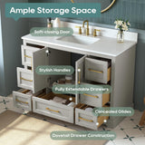 DELUXE LIVING 48 Inch Bathroom Vanity with Sink Combo, Solid Wood Frame with Stone Top & Backsplash, Fully-Assembled with Soft-Closing Doors & 7 Drawers, Greige