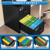 BYNSOE 2 Drawer File Cabinet with Lock Vertical Filing Storage Cabinet Office Home Steel Vertical File Cabinets for Letter Size File Cabinet Locked,Assembly Required