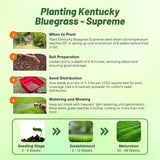 Outsidepride Supreme Kentucky Bluegrass Seed Mix - 50 lbs Cold Tolerant, Lawn Grass w/OptiGrowth Coating for Seed Enhancement, Ideal for Home, Parks, & Athletic Fields