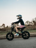 MACFOX M16 Ebikes for Youth, Mini E Bike 750W Electric Bike 20 MPH Max Speed,25 Miles Range(PAS1), 20"x4" Fat Tires, City/School Commuting Electric Bike (UL2849/BLACK-Standard)