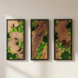 Wood and Moss Wall Art, Single Panel Natural Greenery Decor for Small Spaces, Rustic Framed Forest Wall Hanging, Maintenance-Free Biophilic Art