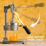 CO-Z Manual Citrus Juicer, Commercial Grade Cast Iron Orange Juicer, Professional Heavy Duty Juice Press with Removable Strainer, Manual Juice Extractor for Orange Lemon Pomegranate Citrus, Gray