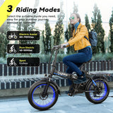 Foldable Electric Bike for Adults, 48V 20Ah Removable Lithium Battery up to 80Miles