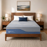 BODIPEDIC Queen Mattress 14-Inch Gel Memory Foam Mattress - Foam Made in USA for Luxurious Cool Sleep & Pressure Relief, CertiPUR-US Certified, Medium Support, 60"×80", Grey