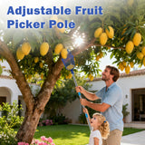 ELNDUXG Fruit Picker Upgraded Round Claws Can Reduce Fruit Damage Lengths from 5 to 13 Feet Fruit Picker Pole with Basket Adjustable Suitable for Cherry Lemon Pear Mango Trees and More (120inch)