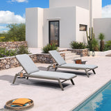 PURPLE LEAF Patio Lounge Chair Set of 2 Adjustable Heavy-Duty Gray