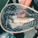 RHINR Landing Net for Fly Fishing, Trout Fishing Soft Rubber Catch and Release Fish Net with Wooden Handle (White Net)