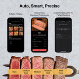 Typhur Sync Gold Wireless Meat Thermometer, Enhanced 10X Sub-1G Signal and Stability, WiFi Unlimited Range, 6 Sensors, Bluetooth Meat Thermometer, Gen2