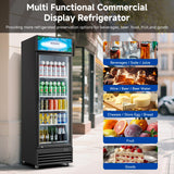 BODEGACOOLER 255L/270 Qt Commercial Beverage Refrigerator | Glass Door Merchandiser Fridge with LED Light, 32°F-50°F Temp, Energy-Saving