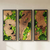 Wood and Moss Wall Art, Single Panel Natural Greenery Decor for Small Spaces, Rustic Framed Forest Wall Hanging, Maintenance-Free Biophilic Art