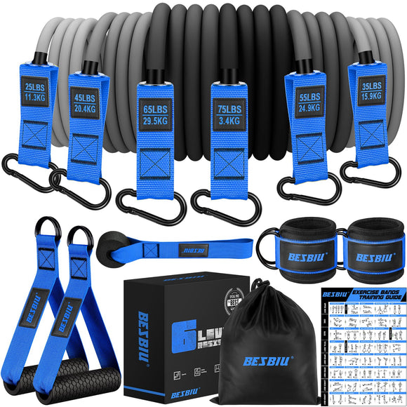 Heavy Exercise Bands Resistance Bands Set for Working Out, 300lbs Fitness Workout Bands with Handles, Door Anchor, Leg Ankle Straps, Home Gym Workout Equipment for Men Strength Training Stretching BesBiu