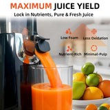 celiberry Cold Press Juicer Machines, 5.3” Large Feed Chute Slow Masticating Juicer for Whole Fruits & Vegetables, Easy Clean, Black