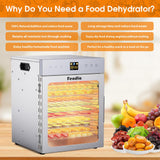 Food Dehydrator for Jerky, 12 Stainless Steel Trays, 1200W Fruit Dehydrator, 24H Timer and 190°F Temperature Control, Overheat Protection, Food Dryer for Jerky, Herbs, Fruit, Dog Treats