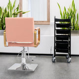 Winado Salon Chair Styling Barber Chair, Beauty Salon Spa Equipment with Heavy Duty Hydraulic Pump, Adjustable Height & 360° Swivel for Barber Shop Hair Stylist, Max Load 330 lbs(Pink)